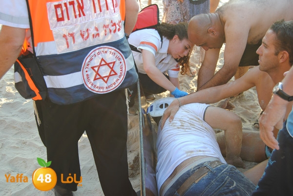 fallen from above 811 (3).JPG